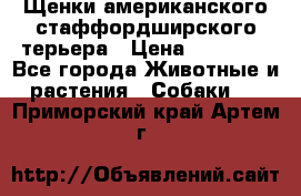 Щенки американского стаффордширского терьера › Цена ­ 20 000 - Все города Животные и растения » Собаки   . Приморский край,Артем г.